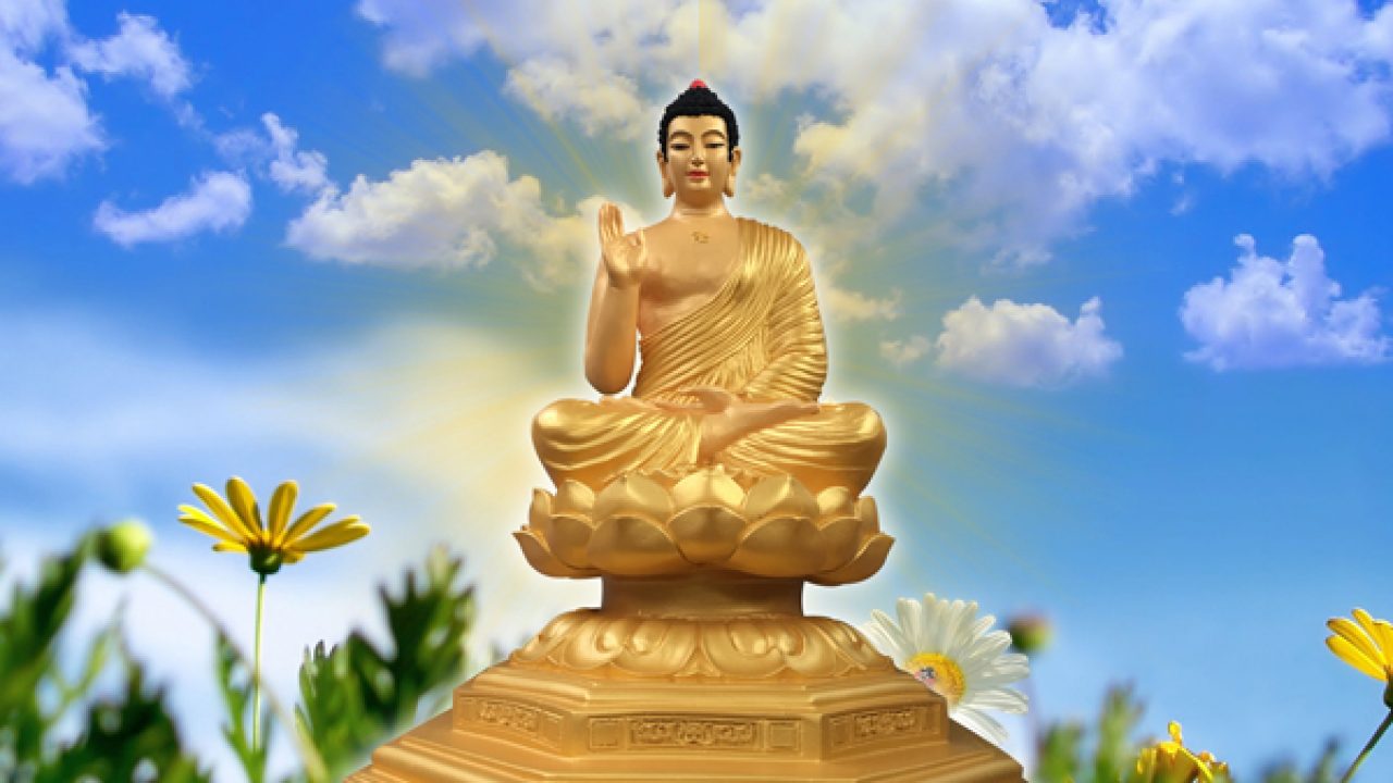 Phân Biệt Sự Khác Nhau Giữa Phật A Di Đà Và Phật Thích Ca
